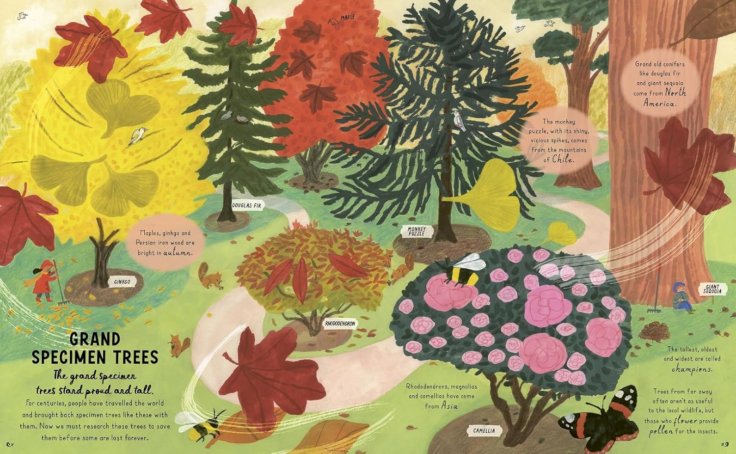 How to Grow a Garden