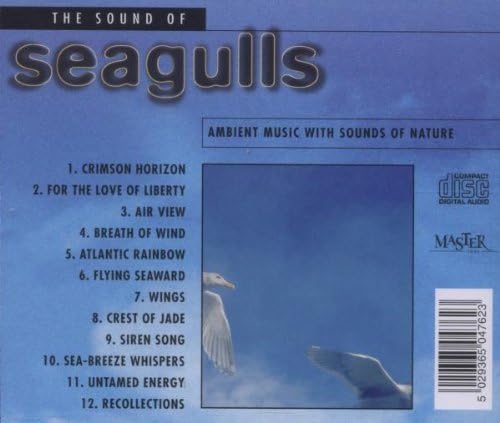 The Sound of Seagulls