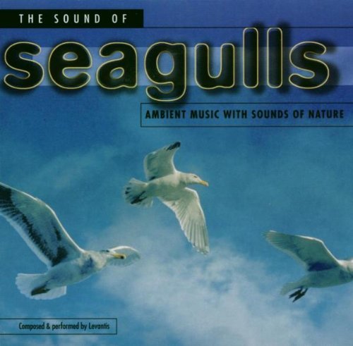 The Sound of Seagulls
