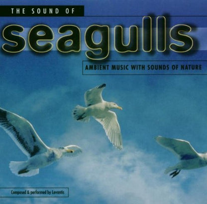 The Sound of Seagulls