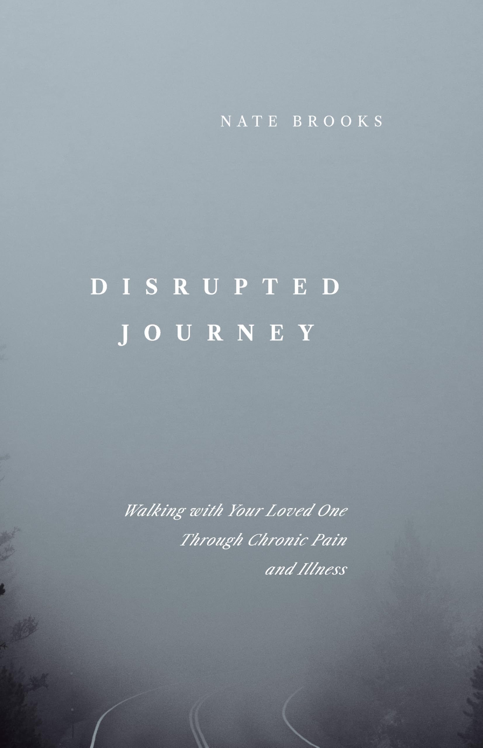 Disrupted Journey