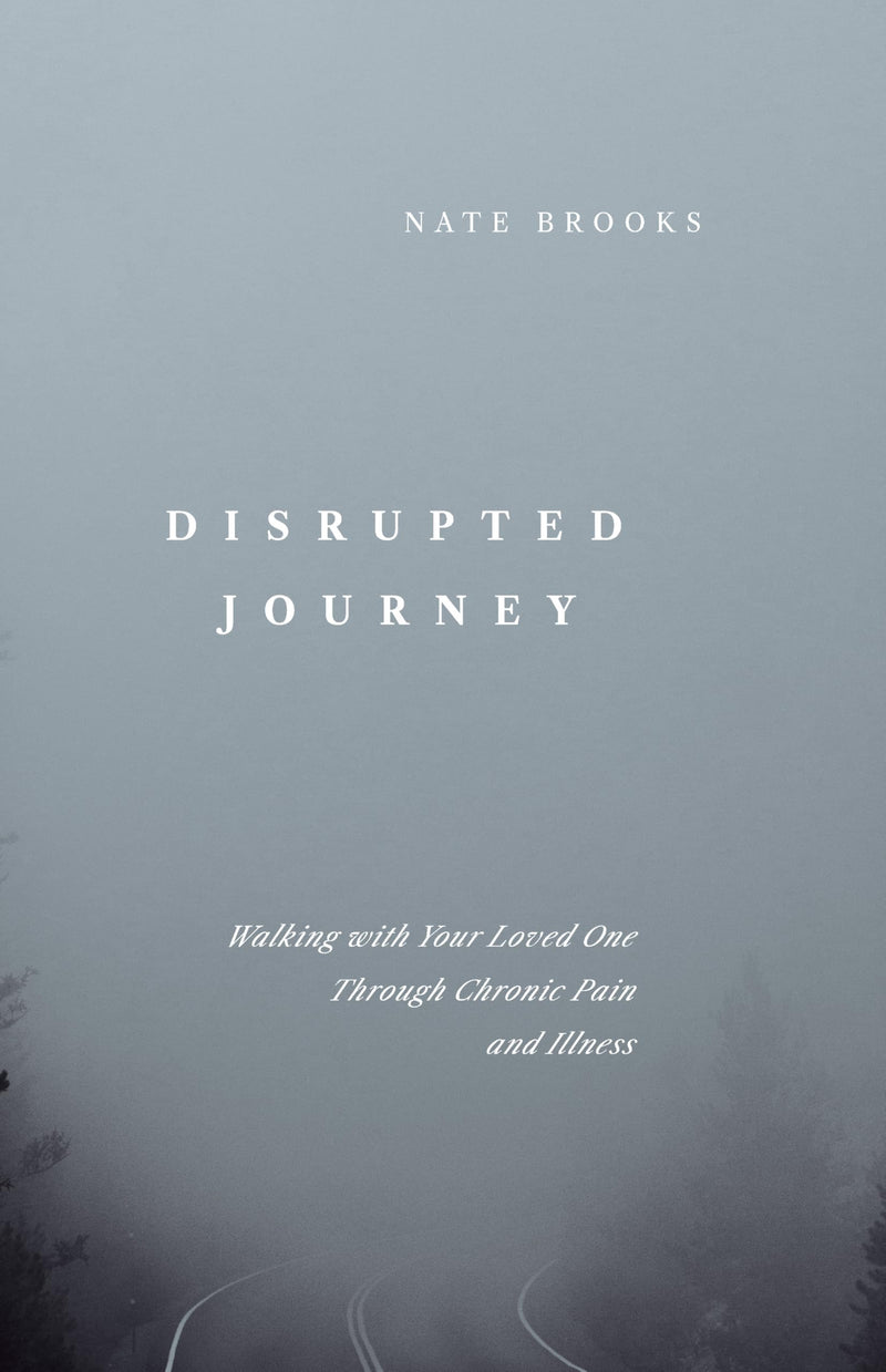 Disrupted Journey