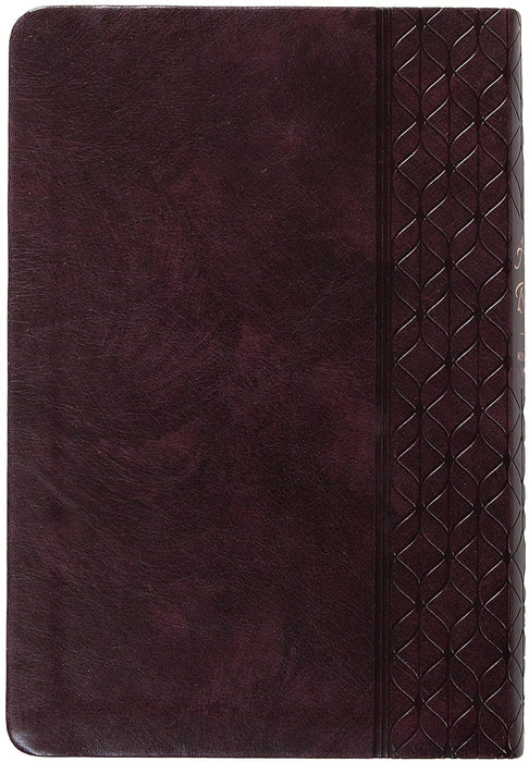 KJV Holy Bible Giant Print Maroon