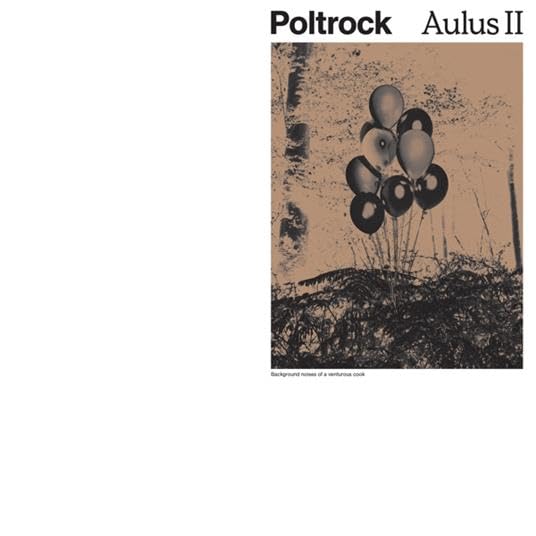 David Poltrock - Aulus II (LP) (Limited Edition)