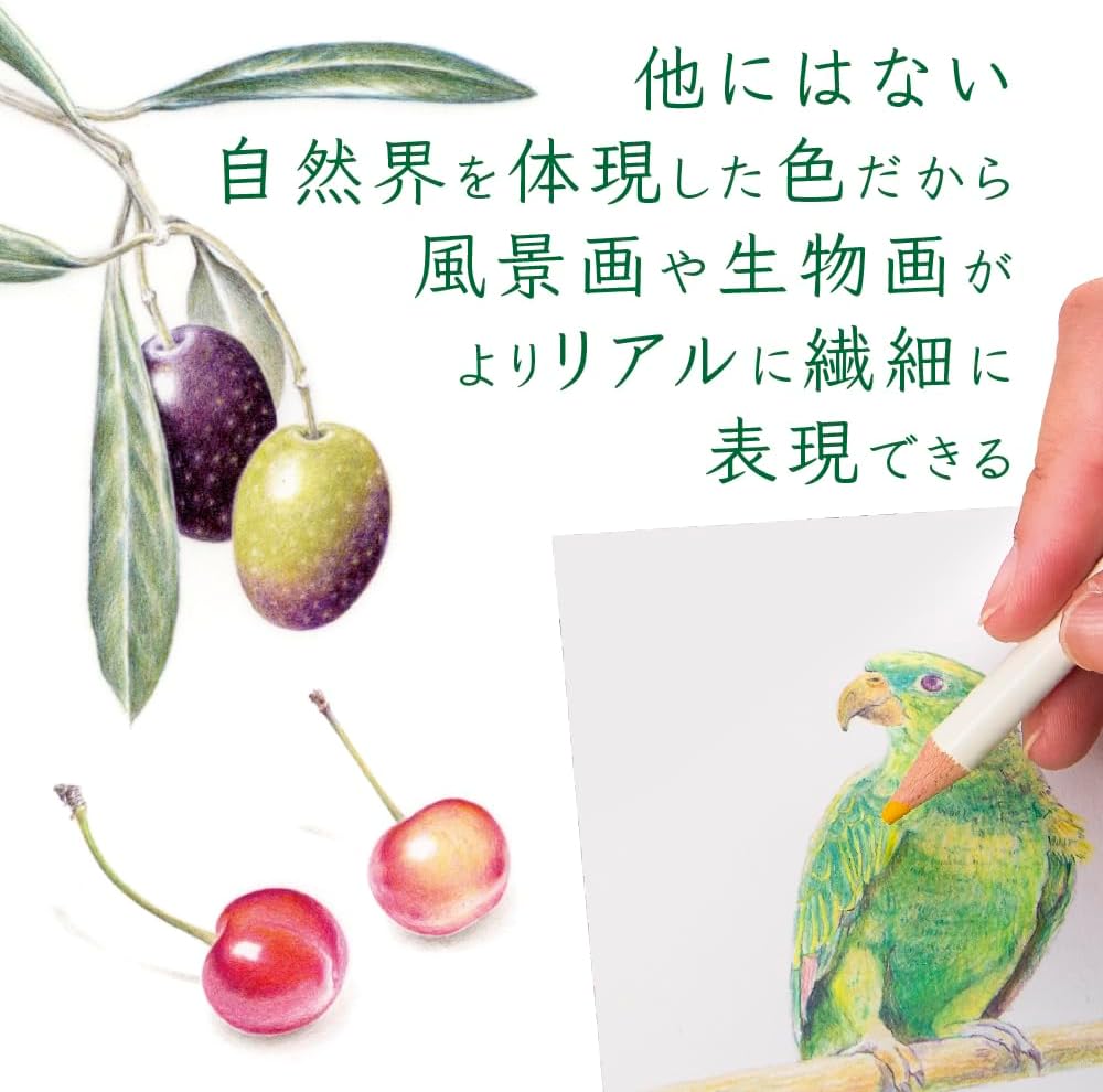 Tombow Irojiten CI-RTC-30C Matite colorate, confezione da 30