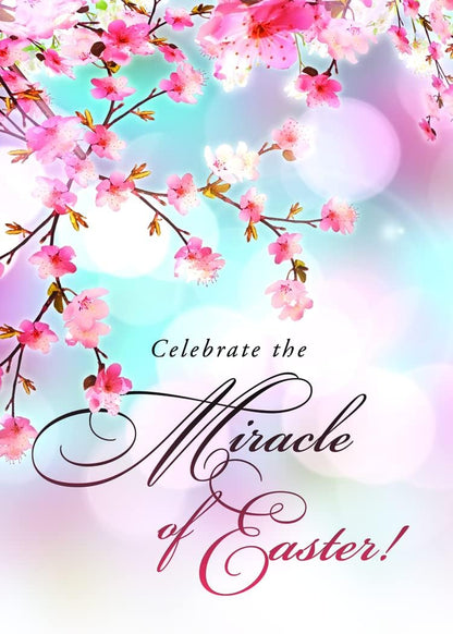 Secret Sister - All Occasion - It's A Secret - KJV and NIV Scripture Greeting Cards - (Box of 12