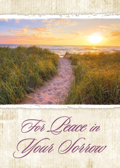 Boxed Greeting Cards - Christian Sympathy Cards with Envelopes - Peaceful Paths - NIV Scripture - Package of 12