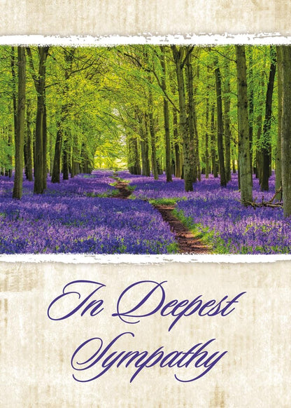 Boxed Greeting Cards - Christian Sympathy Cards with Envelopes - Peaceful Paths - NIV Scripture - Package of 12