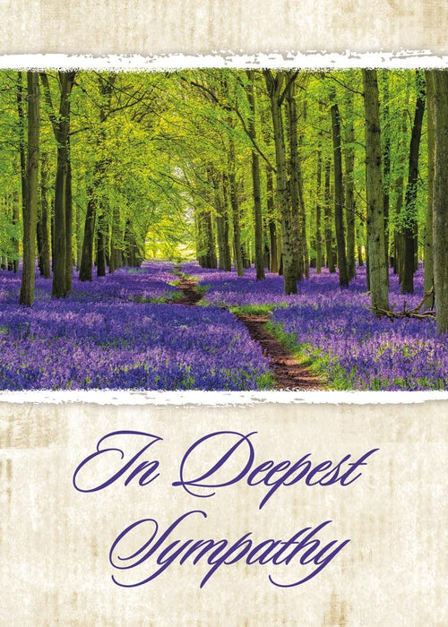 Boxed Greeting Cards - Christian Sympathy Cards with Envelopes - Peaceful Paths - NIV Scripture - Package of 12