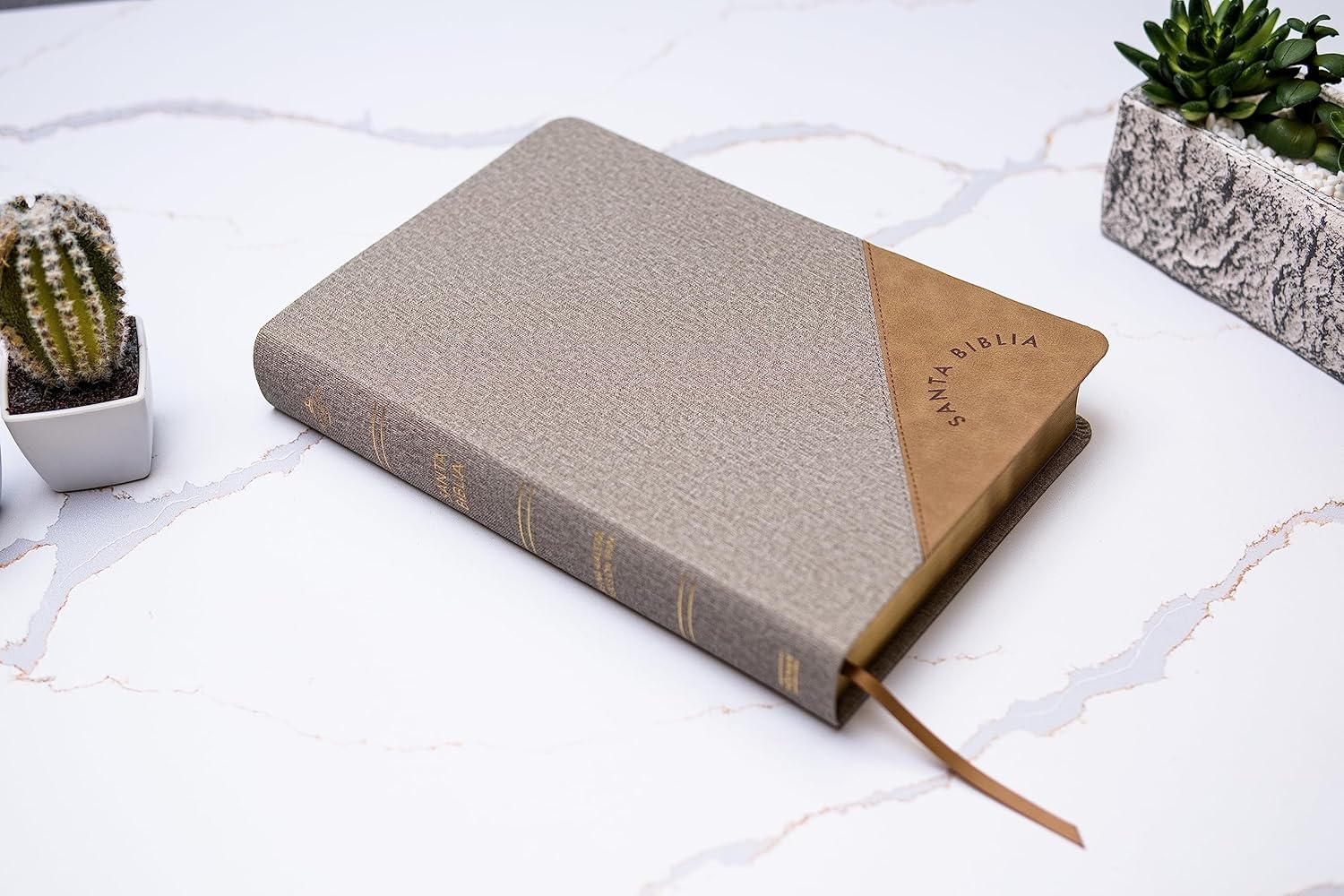 RVR 1960 Biblia Letra Súper Gigante edición 2023 gris
