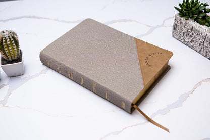 RVR 1960 Biblia Letra Súper Gigante edición 2023 gris