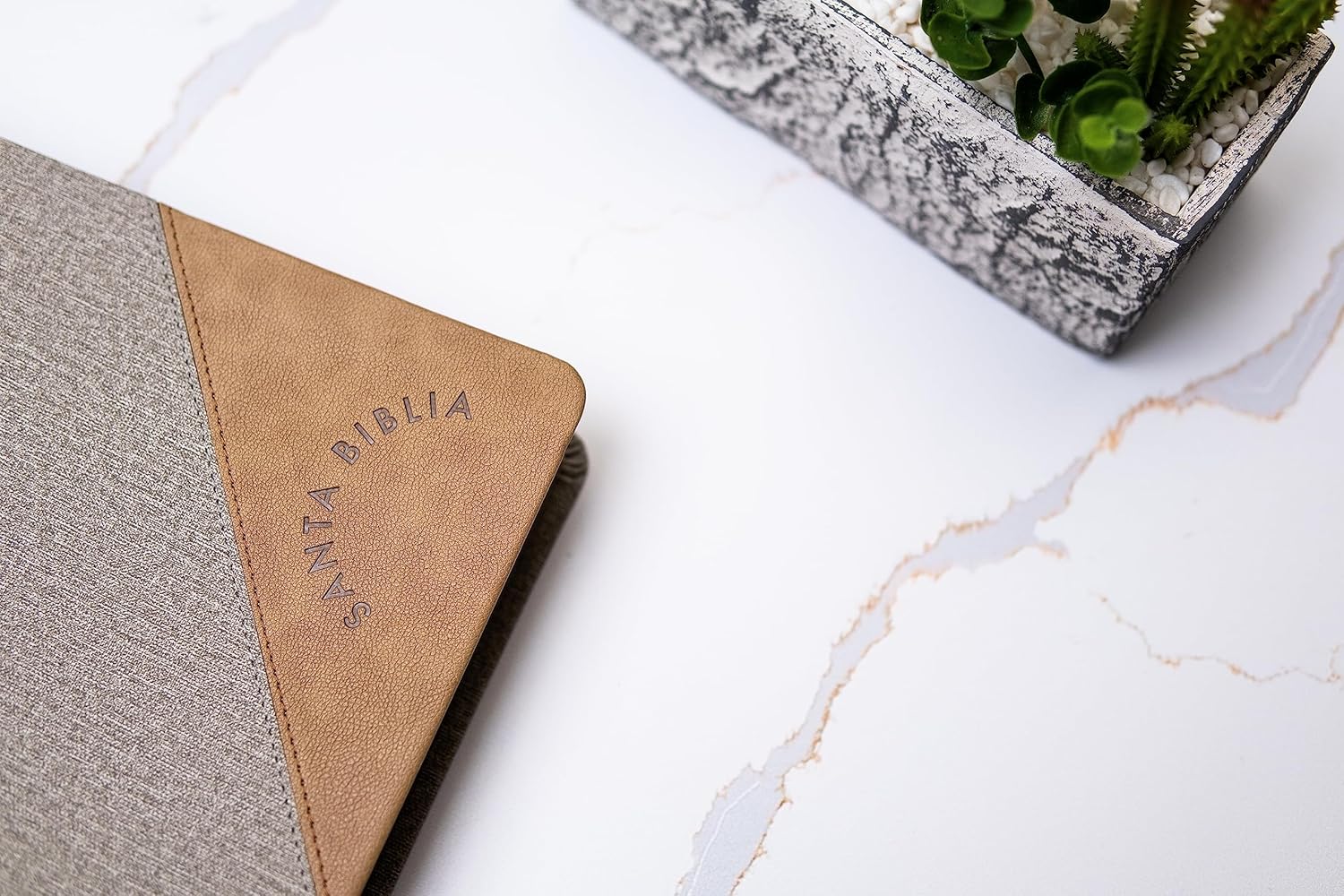 RVR 1960 Biblia Letra Súper Gigante edición 2023 gris