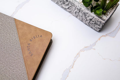 RVR 1960 Biblia Letra Súper Gigante edición 2023 gris