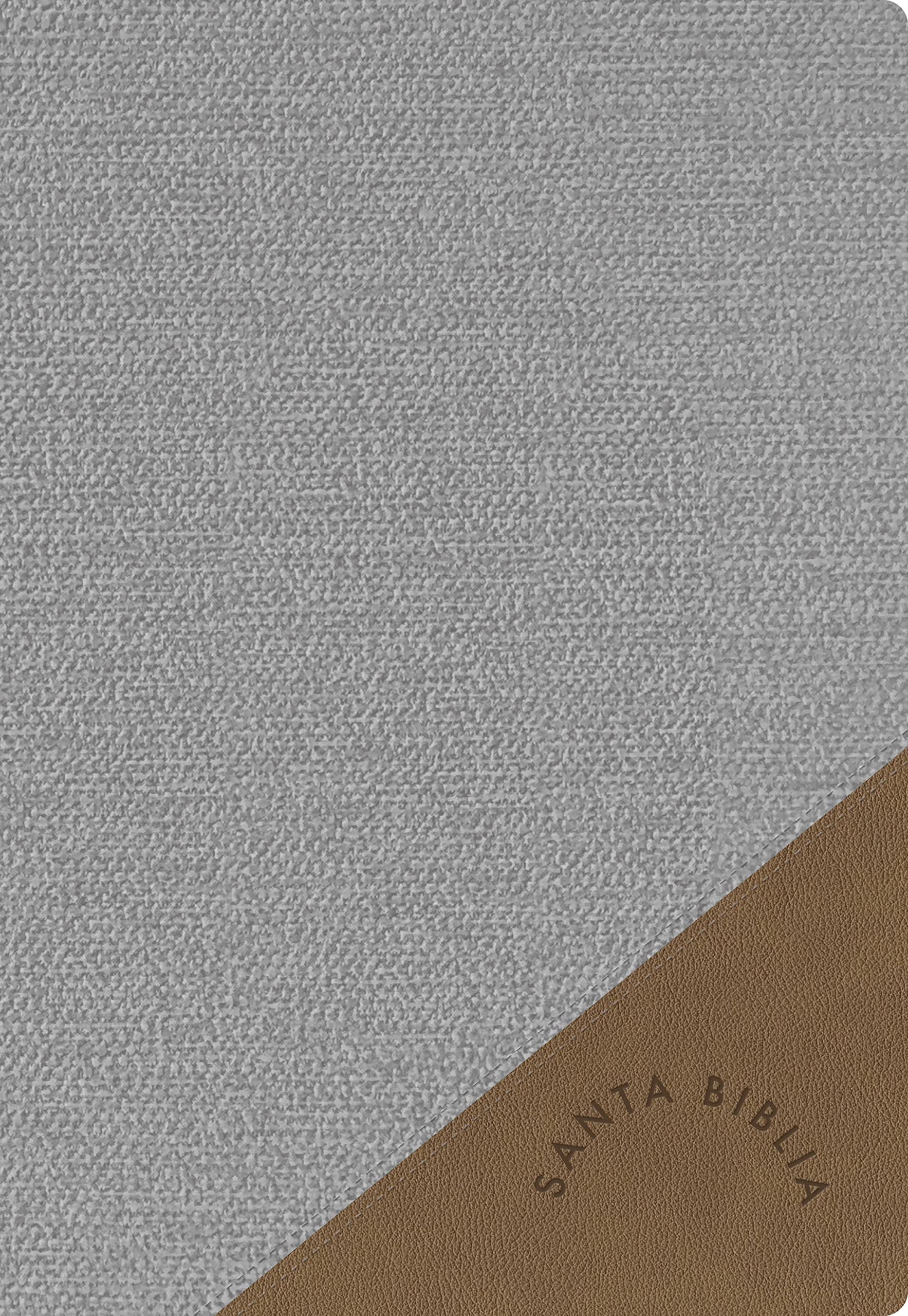RVR 1960 Biblia Letra Súper Gigante edición 2023 gris