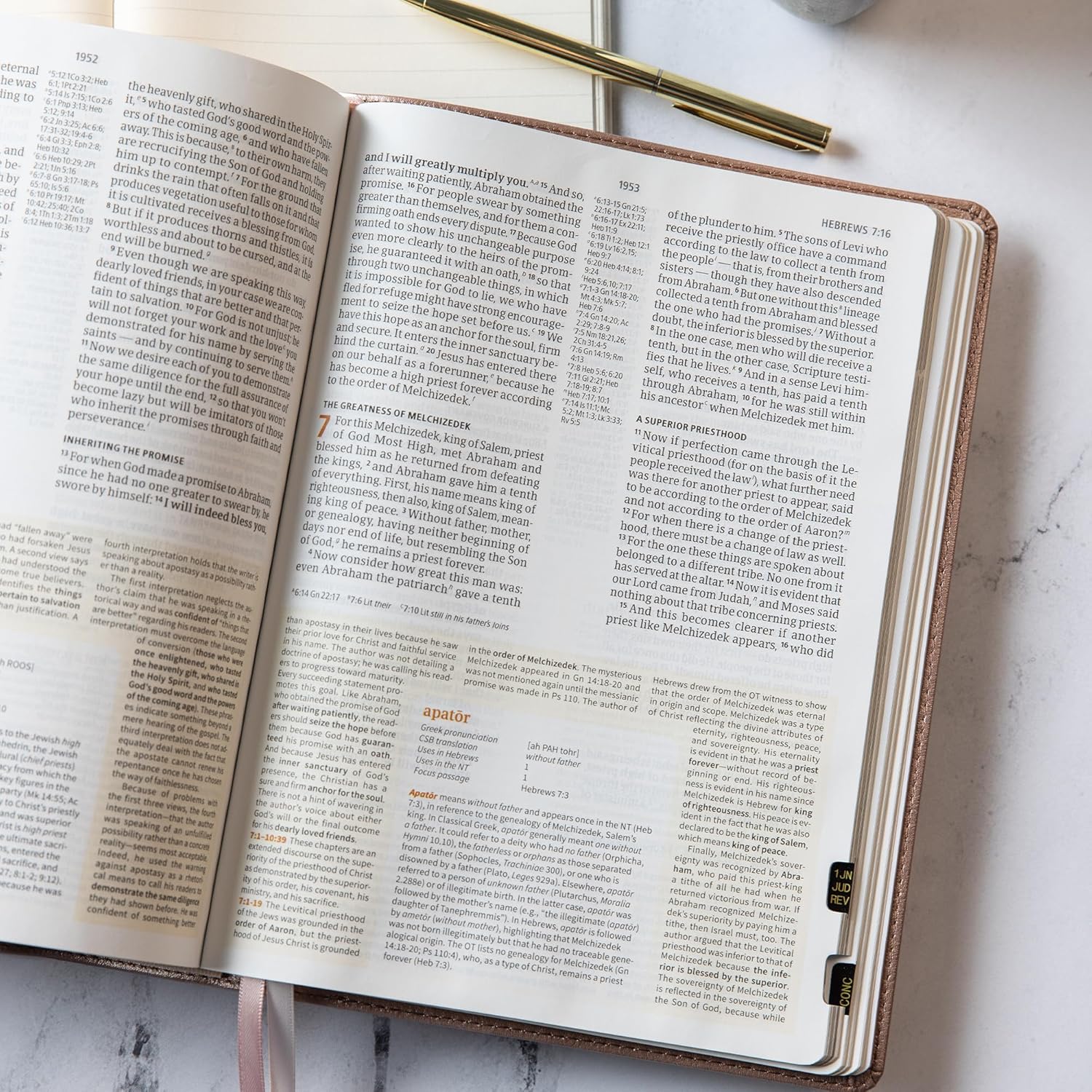 CSB Study Bible, Rose Gold LeatherTouch, Indexed