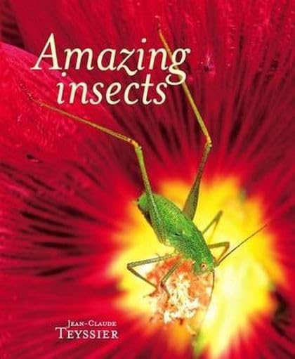 Amazing Insects