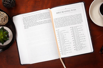 The Passion Translation New Testament (2020 Edition) Giant Print Plum
