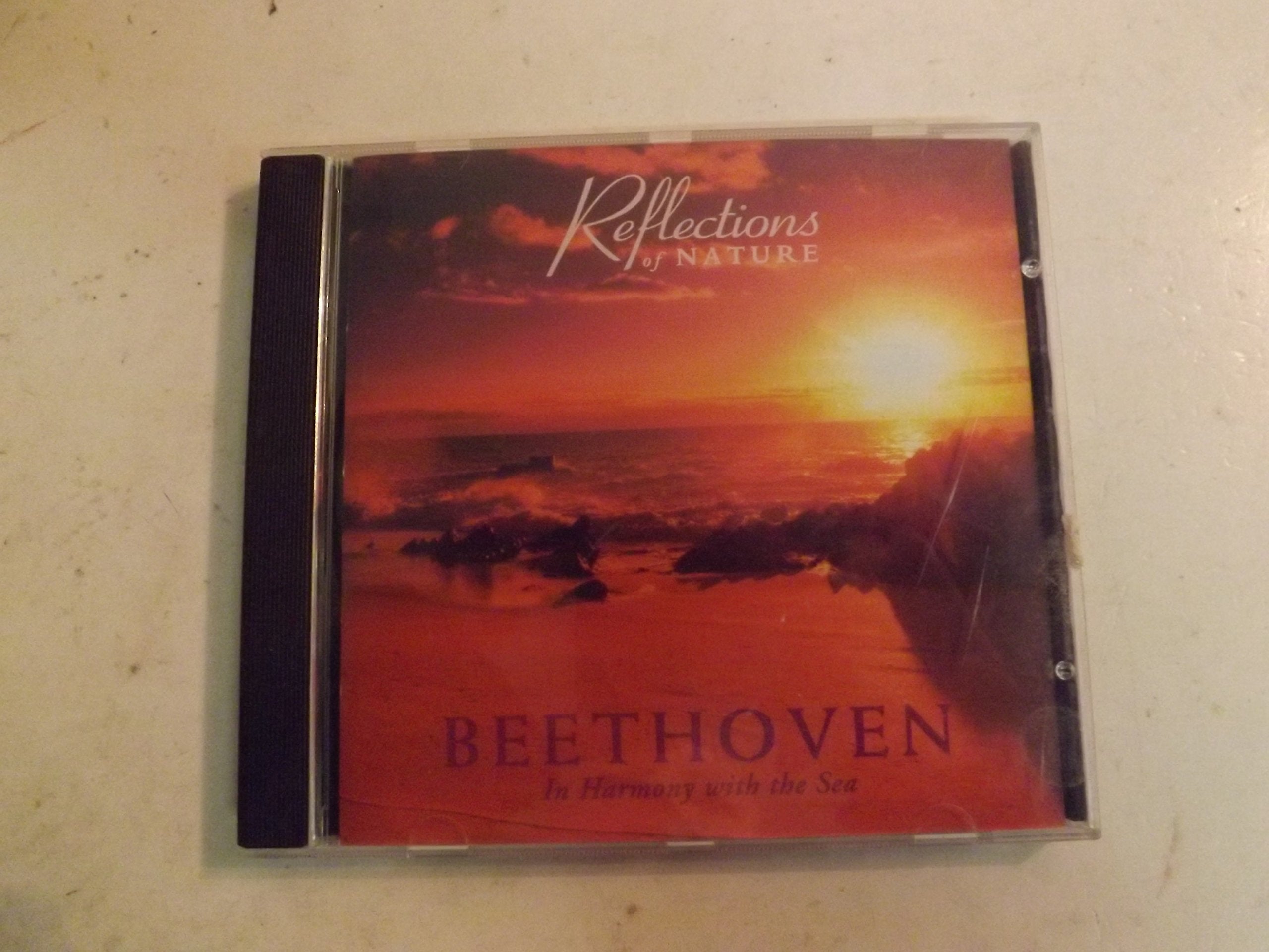 REFLECTIONS OF NATURE: BEETHOVEN IN HARMONY WITH THE SEA