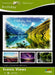 Christian Art Greetings Birthday Greeting Cards - Scenic Views - KJV Scripture - (Box of 12