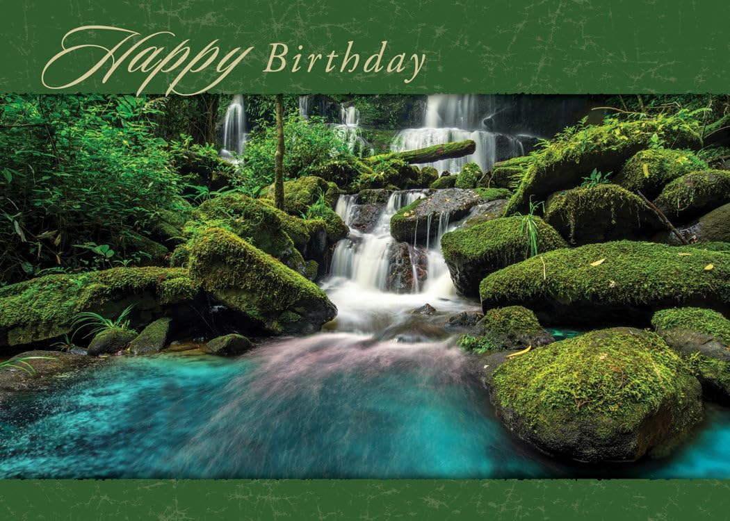 Warner Press Card-Boxed-Faithful Falls Assorted (Pack of 12