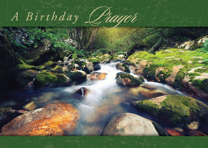 Warner Press Card-Boxed-Faithful Falls Assorted (Pack of 12