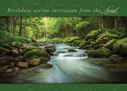 Warner Press Card-Boxed-Faithful Falls Assorted (Pack of 12