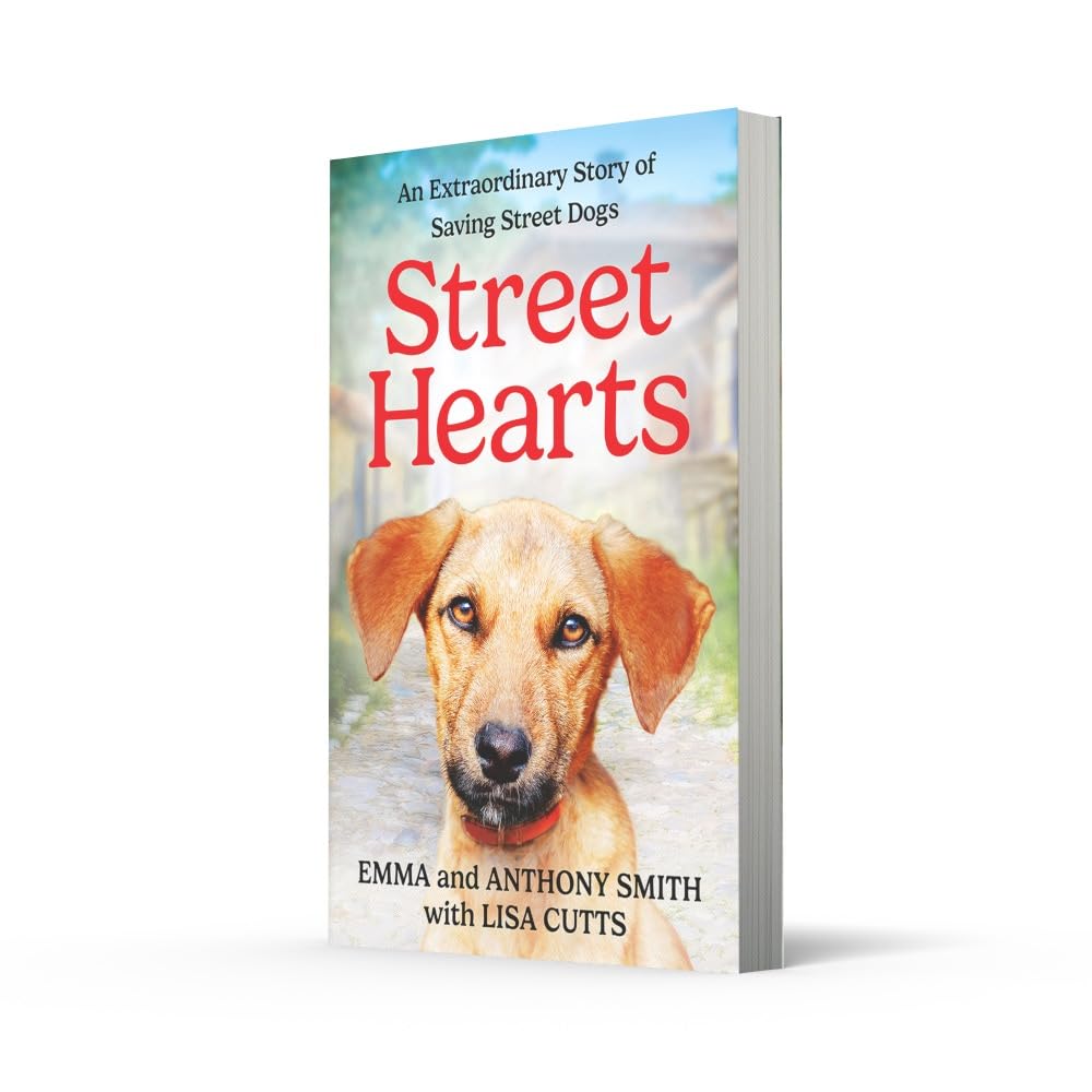 Street Hearts