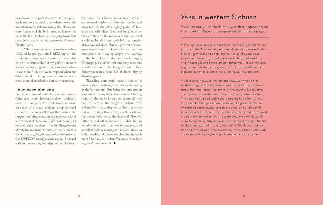 Lonely Planet Women Travel Solo