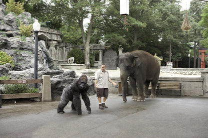 Der Zoowärter (DVD