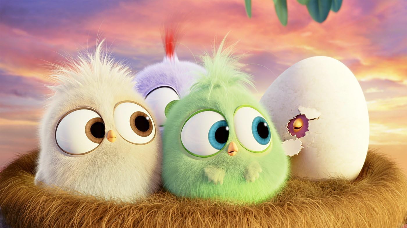Angry Birds - Der Film (DVD