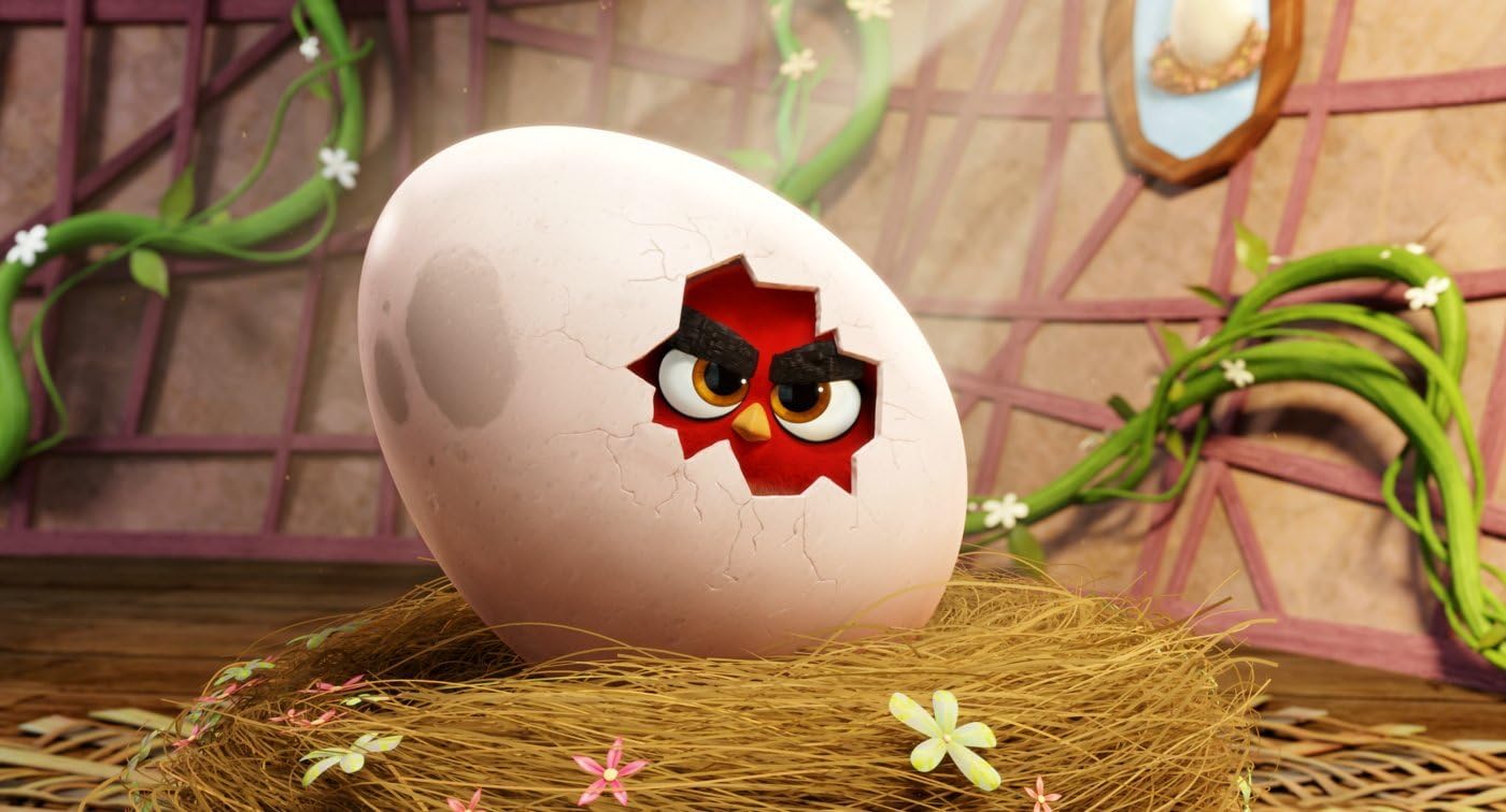 Angry Birds - Der Film (DVD