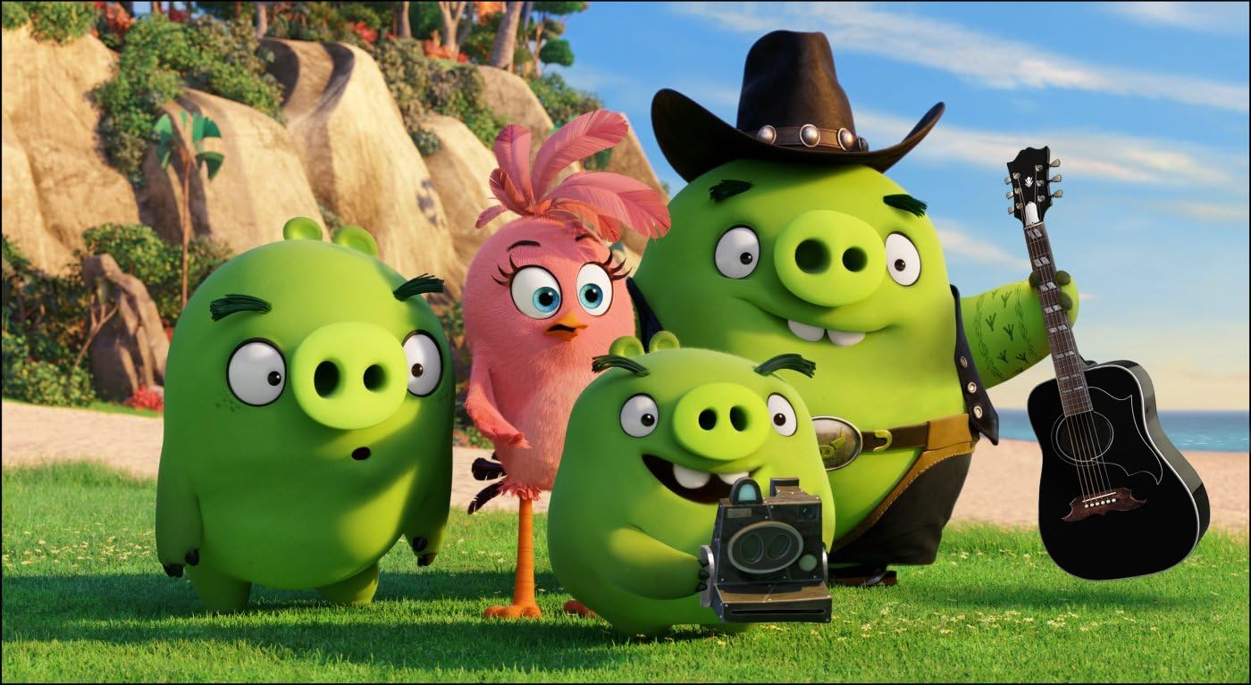 Angry Birds - Der Film (DVD