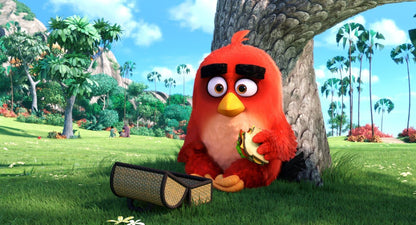 Angry Birds - Der Film (DVD