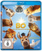 Bo und der Weihnachtsstern (Blu-ray