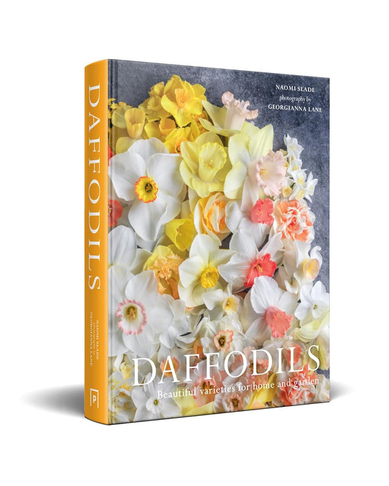 Daffodils