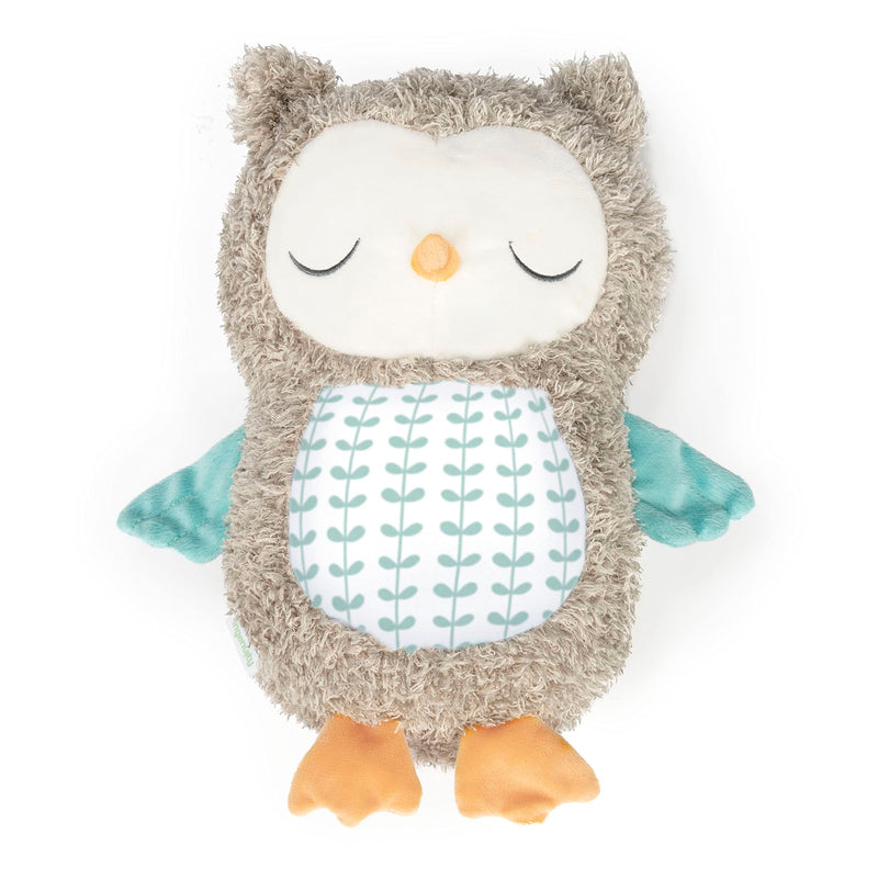 Ingenuity, Nally the Owl Knuffel met grappige geluiden en muziek van Bluethooth, 0-36 maanden, uniseks