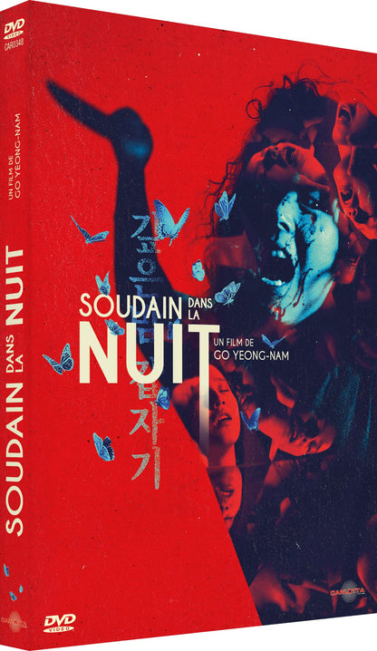 Soudain dans la Nuit