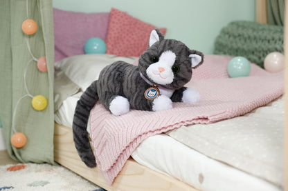 BABY born 837580 Kat Cookie met Box