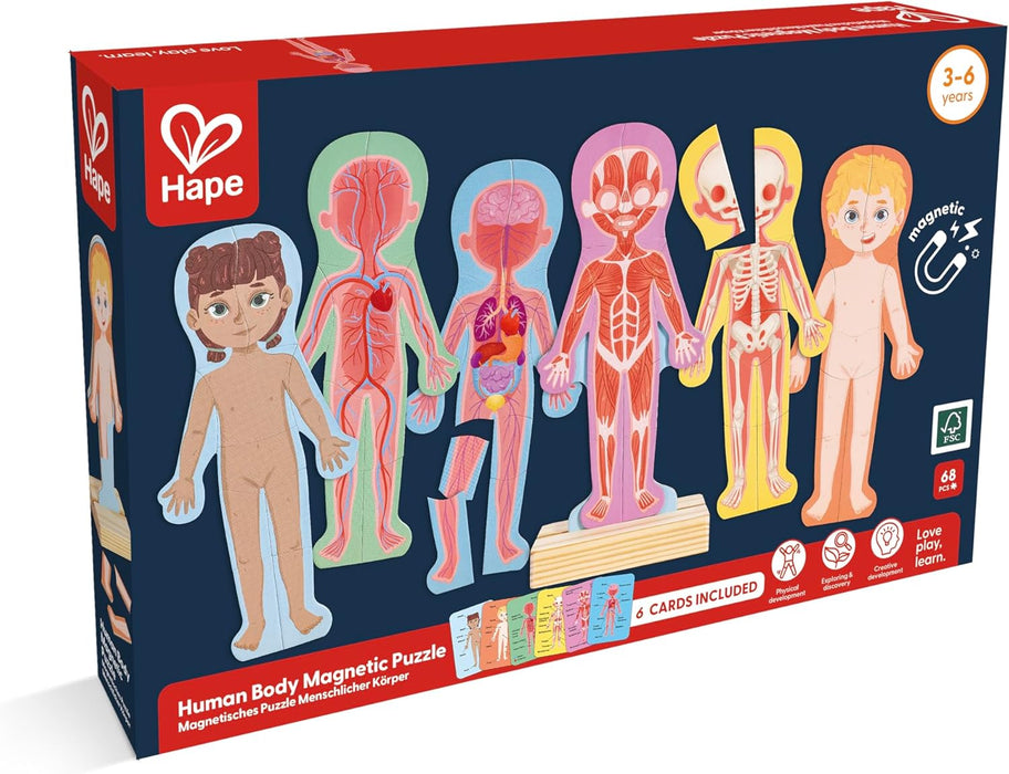 Magnetic Human Body Puzzle