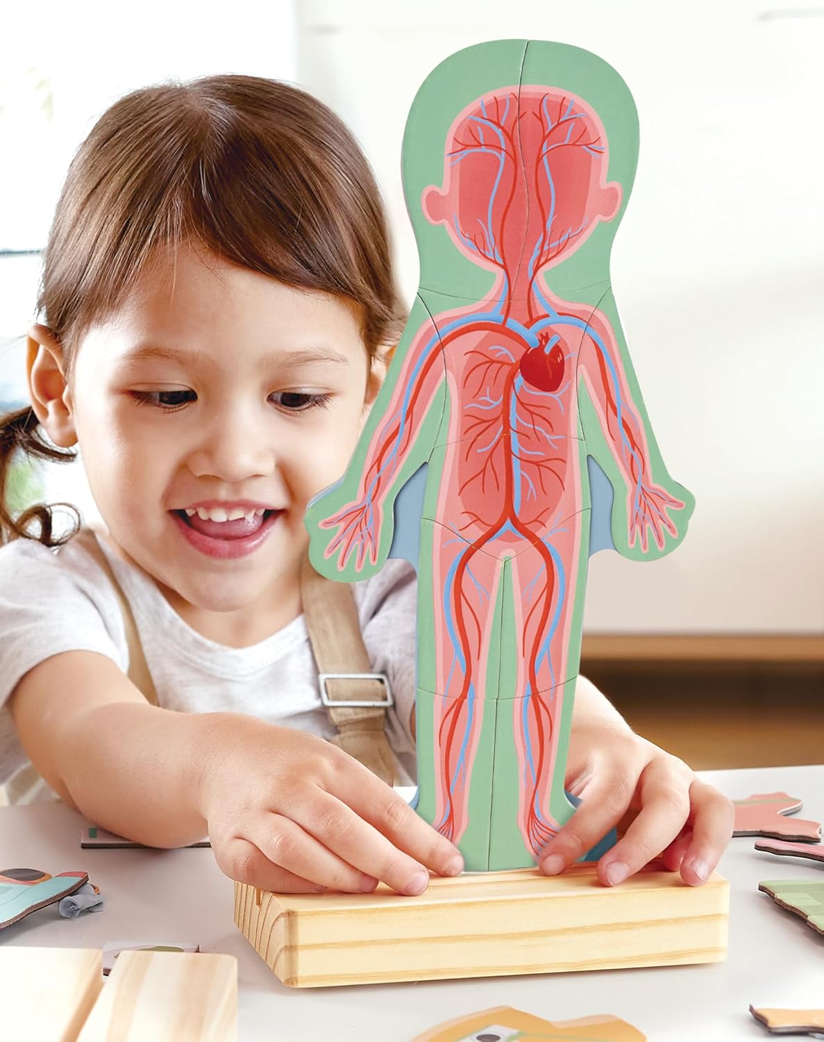 Magnetic Human Body Puzzle