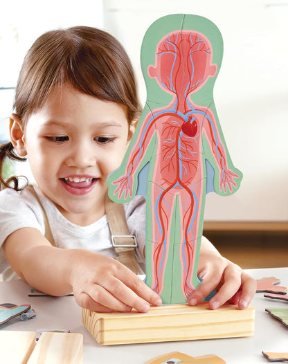 Magnetic Human Body Puzzle