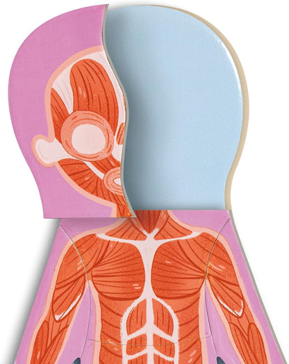 Magnetic Human Body Puzzle