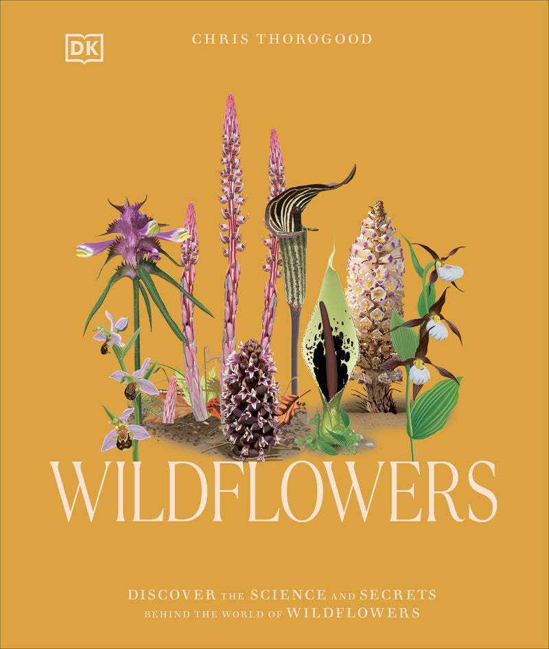 Wildflowers