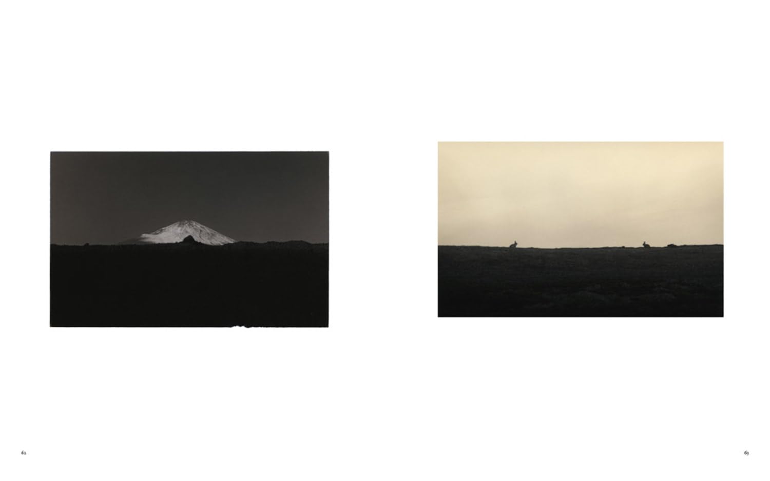 Masao Yamamoto: Small Things in Silence