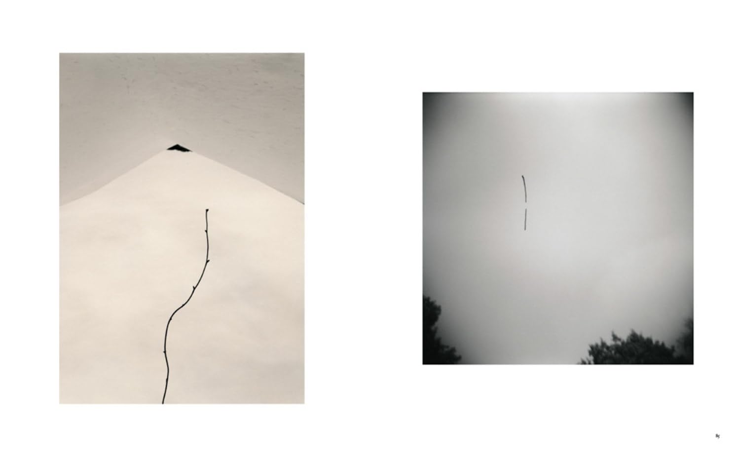 Masao Yamamoto: Small Things in Silence
