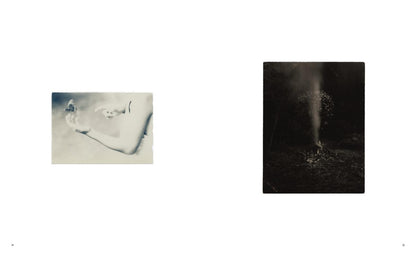 Masao Yamamoto: Small Things in Silence