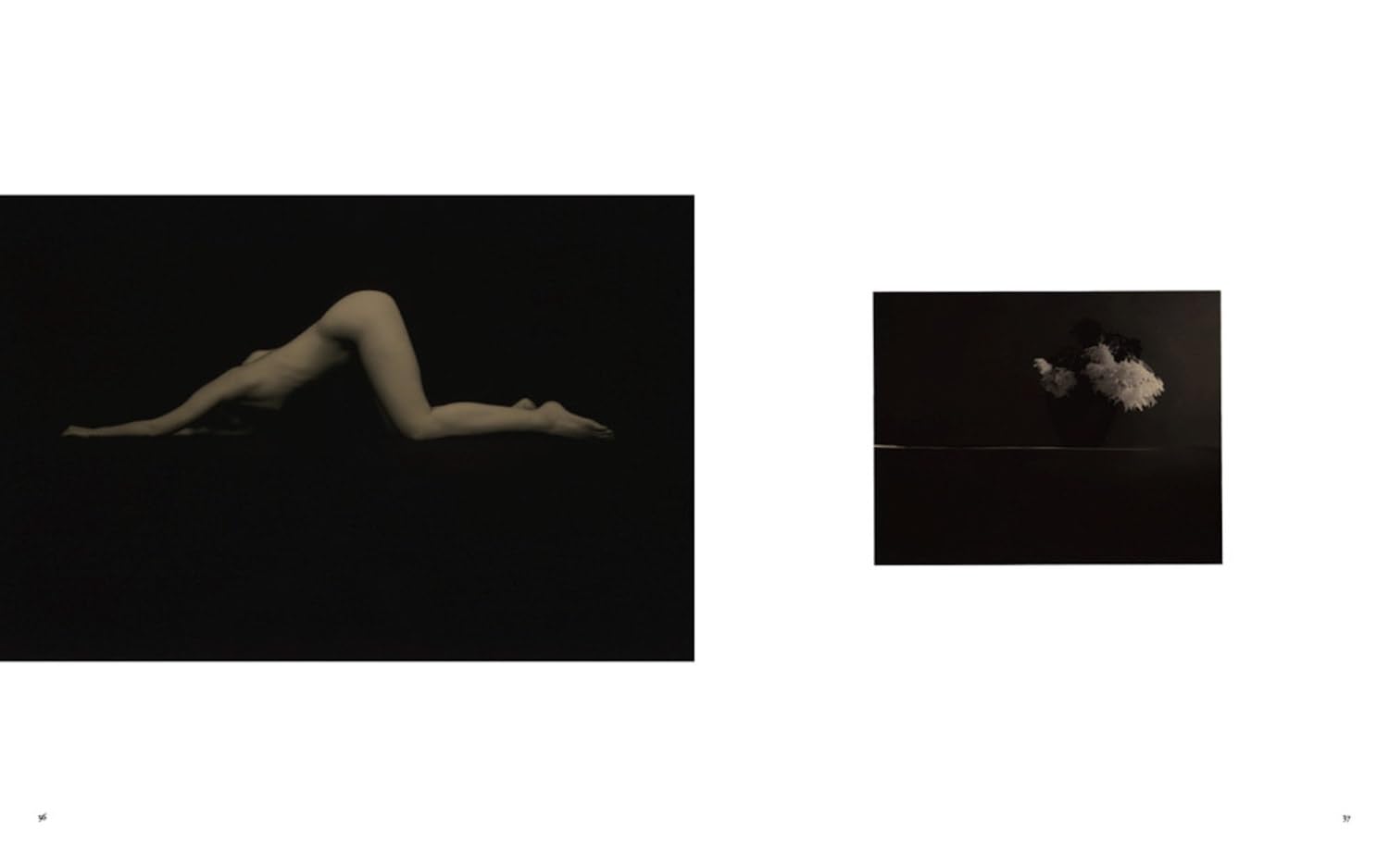 Masao Yamamoto: Small Things in Silence