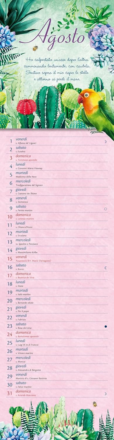 Emily. Calendario stretto 2025 da parete (12,5 x 48 cm) (Varia Demetra