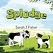 Splodge
