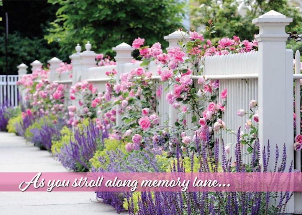 Warner Press G3454 Garden Splendor Birthday Assorted Cards with KJV Scripture - Box of 12